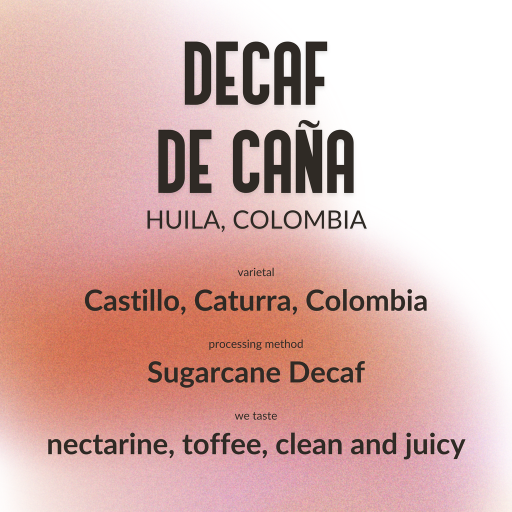 Sugarcane Decaf Huila Colombia