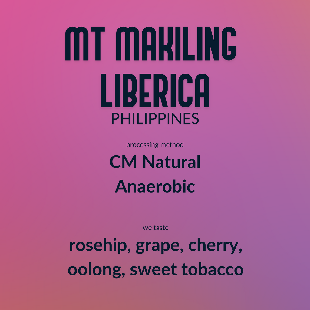 Mt Makiling Liberica - CM Natural Anaerobic