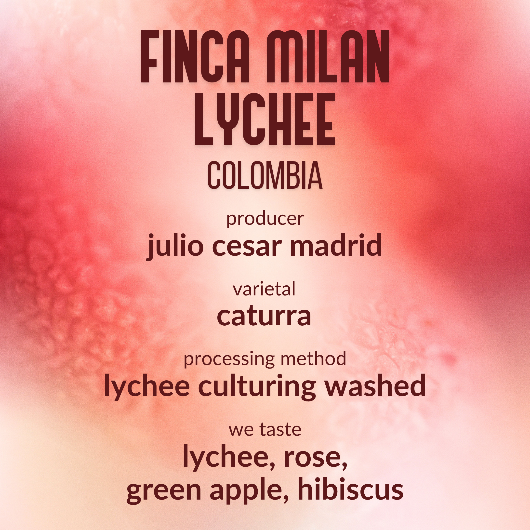 Finca Milan Lychee Colombia