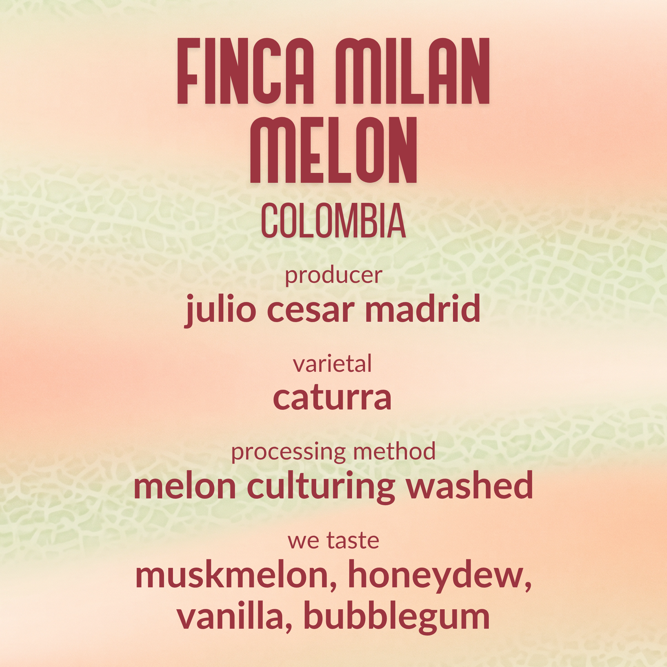 Finca Milan Melon Colombia