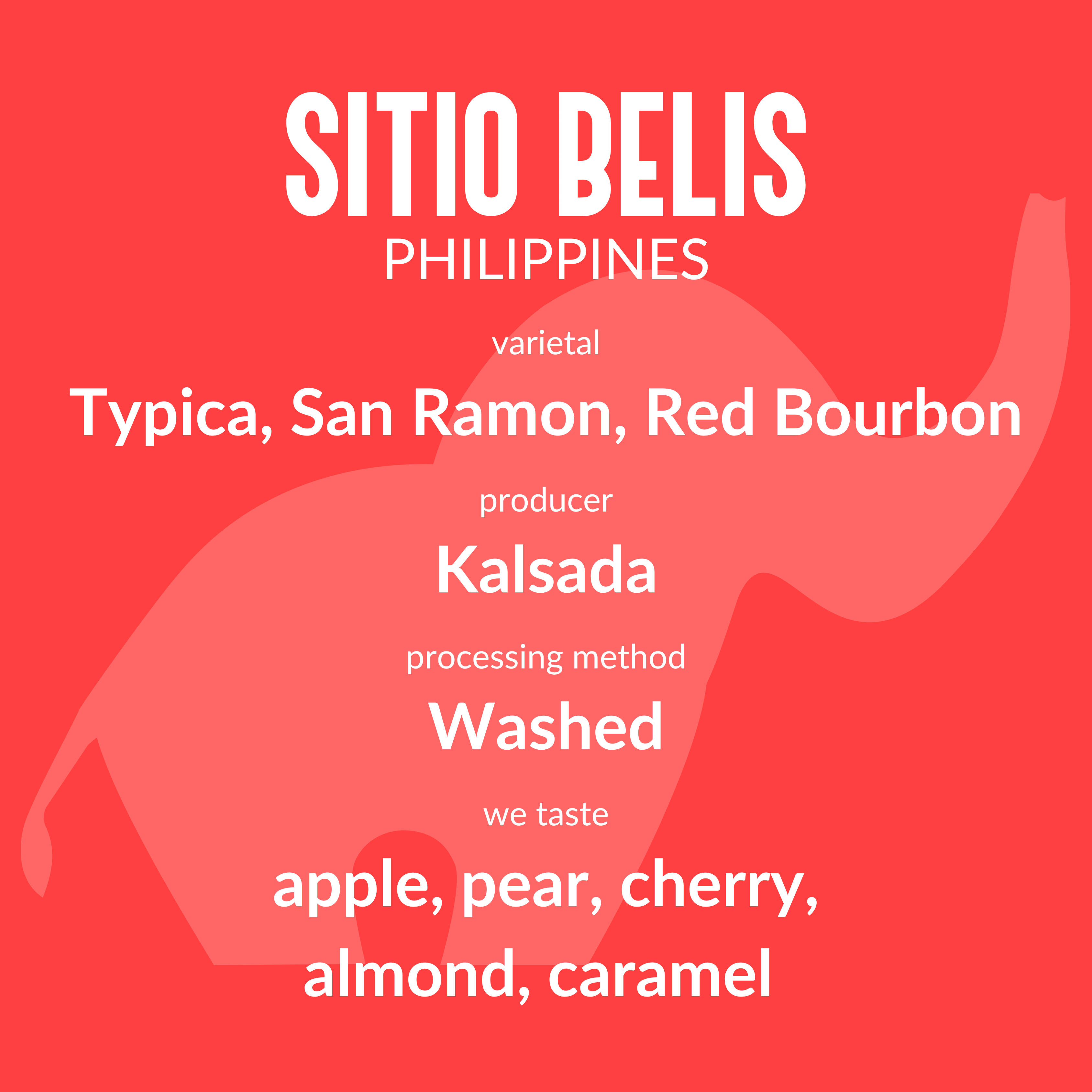 Sitio Belis Philippines - Washed - Kalsada