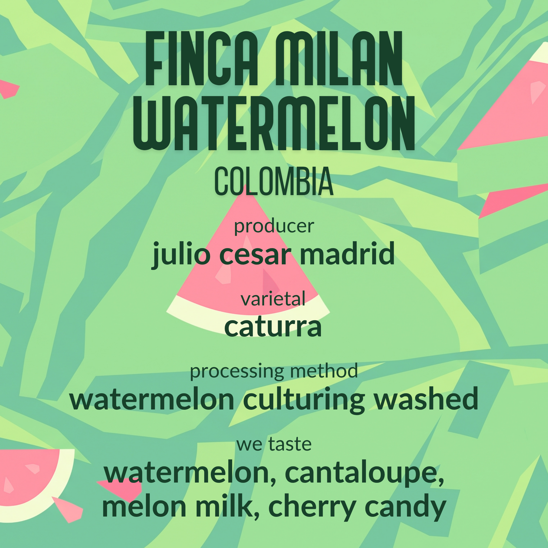 Finca Milan Watermelon Colombia