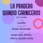 Grape Anaerobic La Pradera Quindio Carniceros Colombia